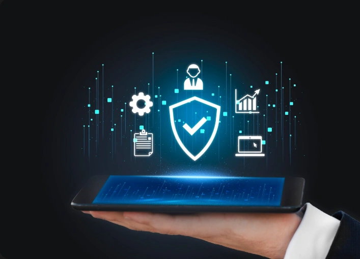 insurance software development in India