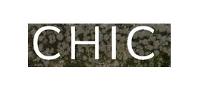 chicflowers